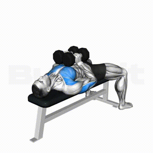 Bench Dumbbell Squeeze Press